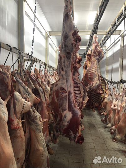 Мясо говядина баранина