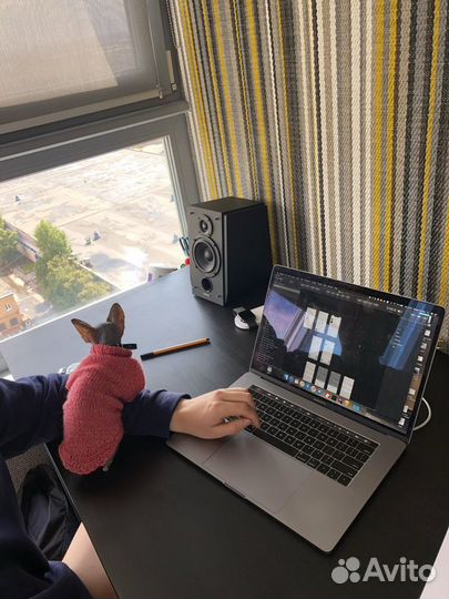 Свитер для собак, комбинезон для собак, шапочка