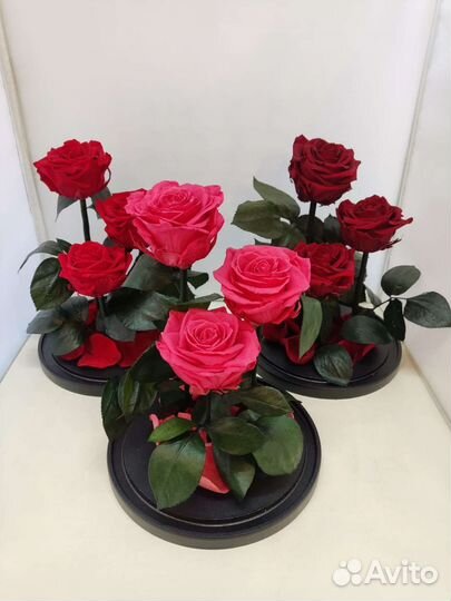 Роза в колбе оптом