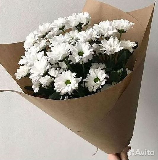 Хризантема Доставка цветов Букеты