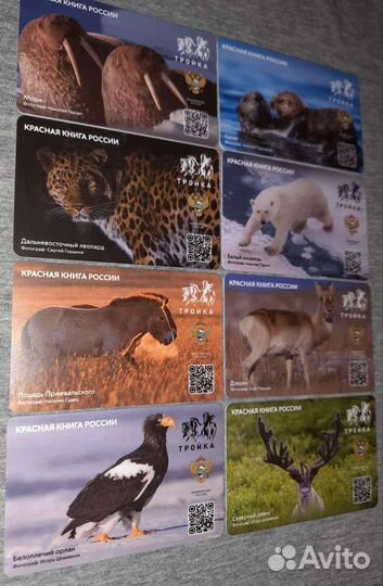 Карта тройка «Красная книга России»