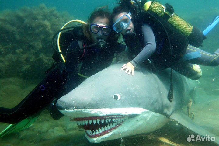 Дайвинг в Сочи/Адлере