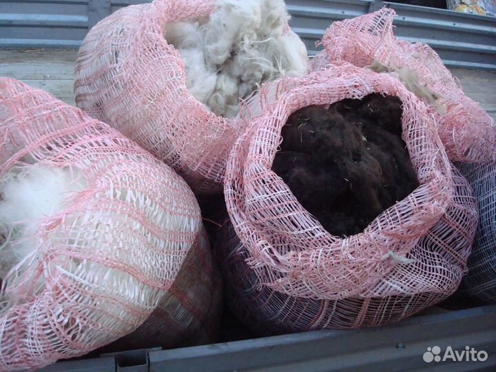 Шерсть овечья не мытая