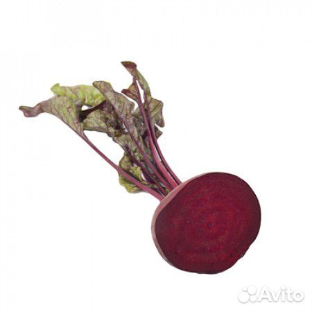 Семена Свёкла 