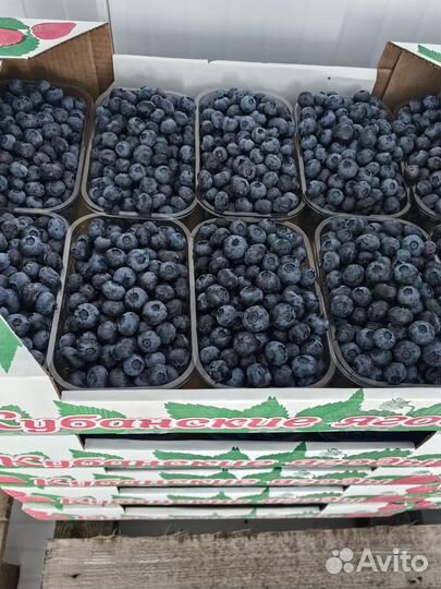 Голубика ягоды