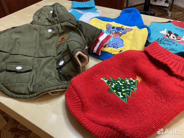 Одежда для маленьких собак s