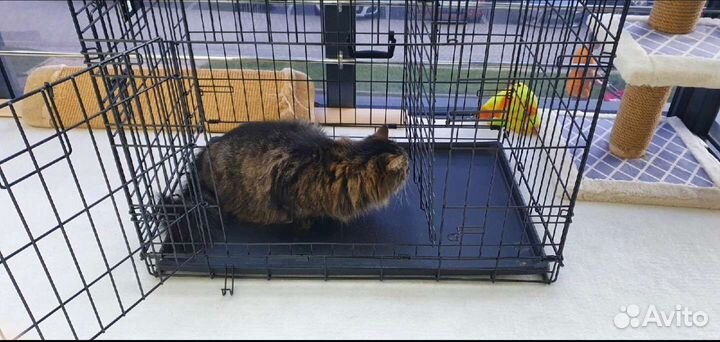 Клетка Midwest Contour 2 двери