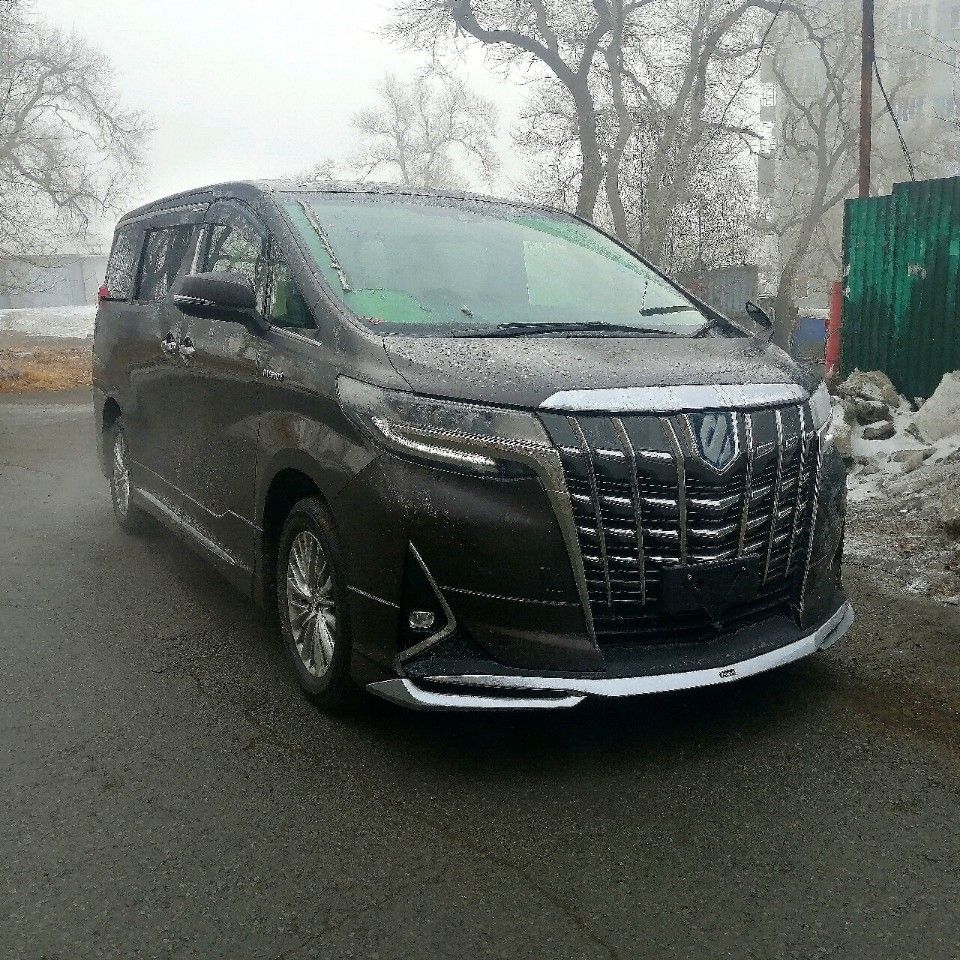 Toyota Alphard: фото владельца