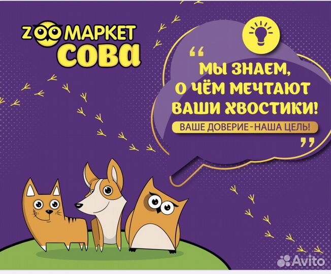 Продавец- консультант «Зоомаркет Сова»