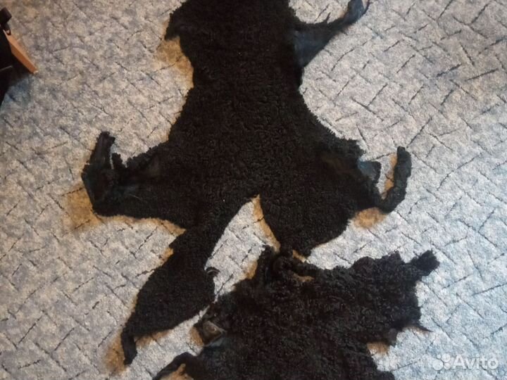 Шкурки каракуля