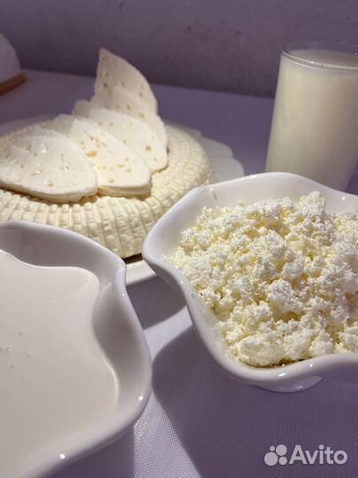 Домашние молочные продукты