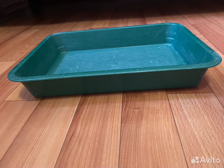 Лоток для котят