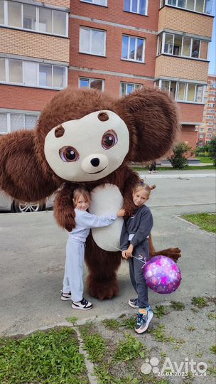 Поздравления от чебурашки