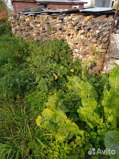 Дрова березовые колотые сухие