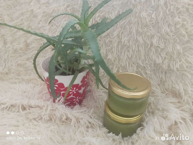 Алое лечебный