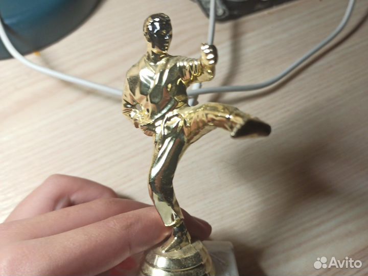Каратист Евлампий