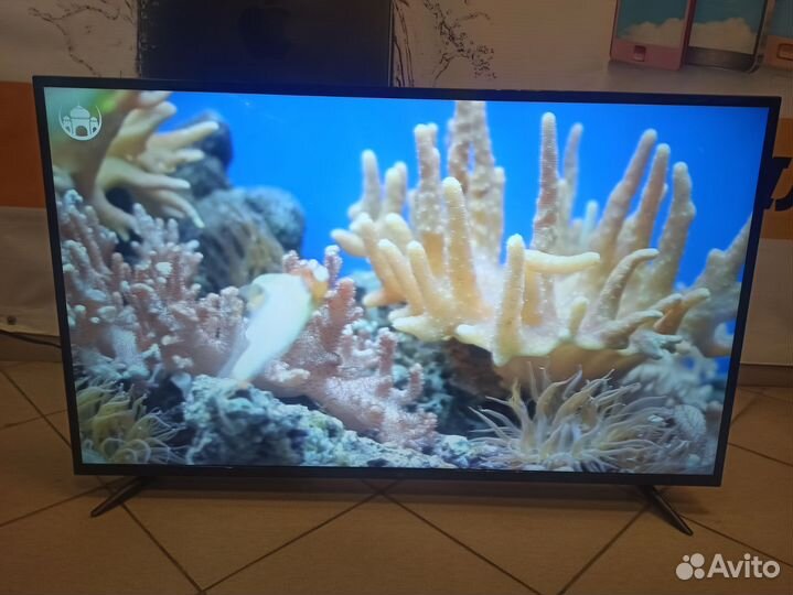 Телевизор LED dexp U43H8000E