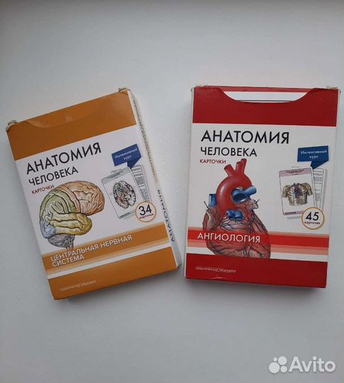 Карточки анатомия человека цена в описании