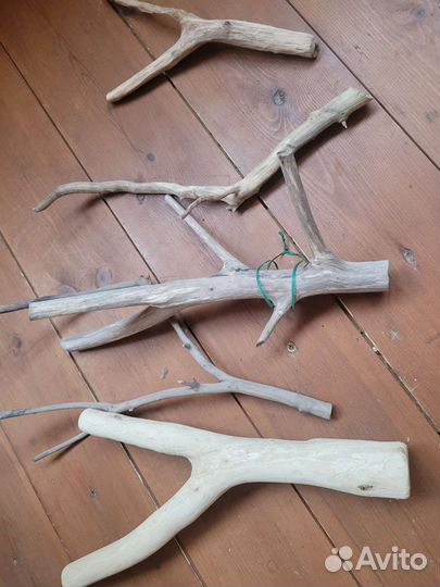 Аквариум и многое другое смотрите все фото