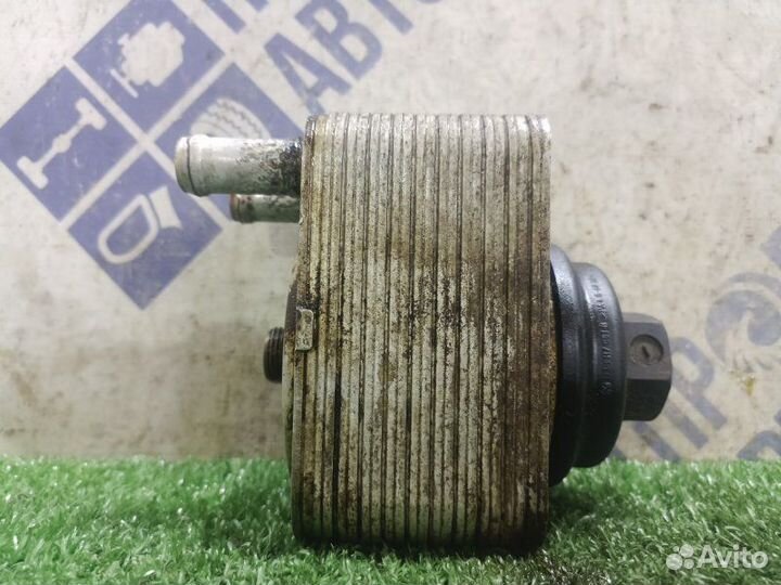 Радиатор масляный Volkswagen Touareg кроссовер 3.2