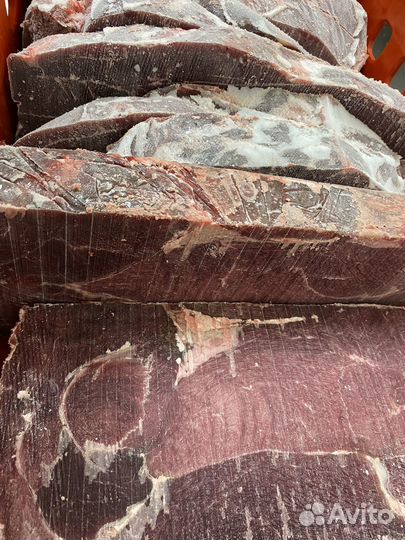 Мясо конина