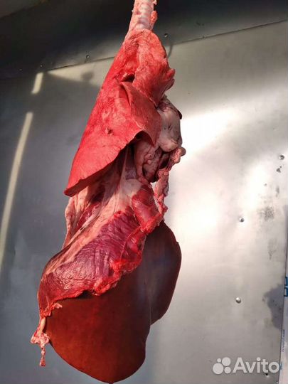 Бараний ливер