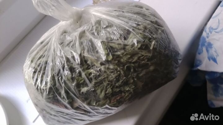 Мята сушеная, свежая, и саженцы