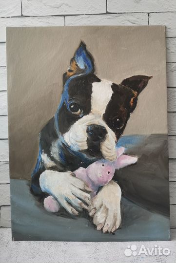 Картина маслом Бостон-терьер. Портрет питомца