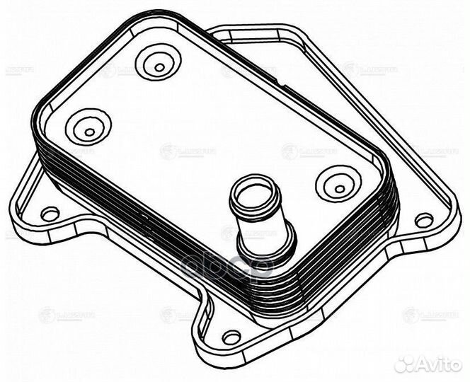 Радиатор масляный MB W203 00- loc1503 luzar