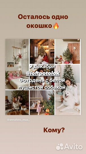 Новогодние фотодни