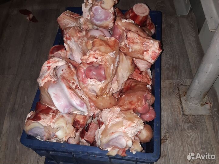 Кости говяжий