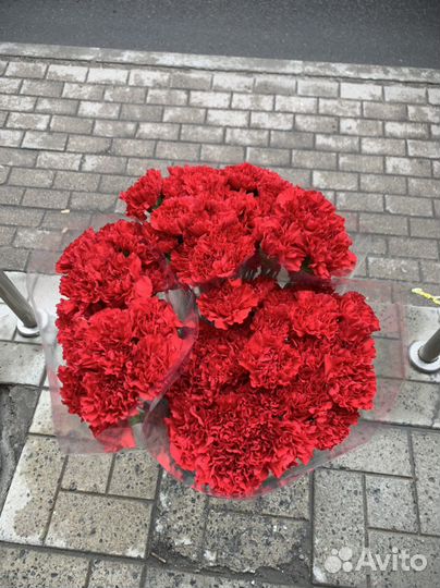 Гвоздика, Хризантема кустовая,розы, кустовые розы