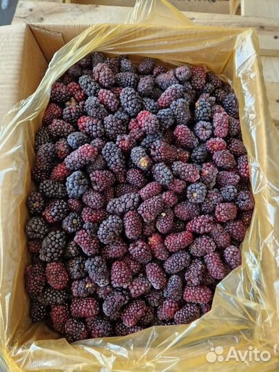 Ежевика замороженная