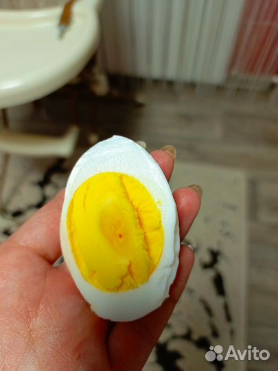 Домашние куриные, утиные яйца