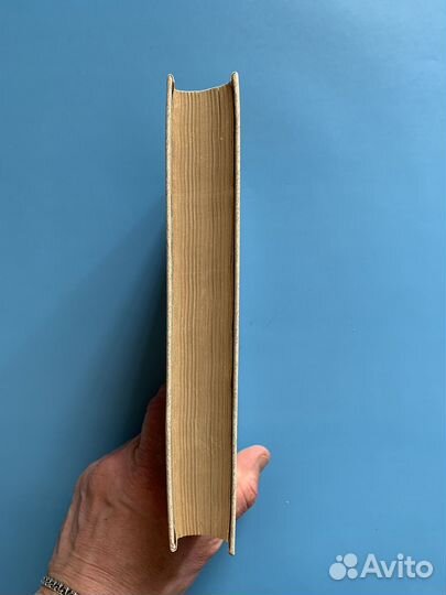 Мушкетер и фея В. Крапивин