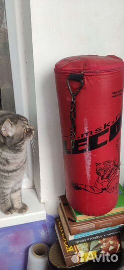 Груша +макивара