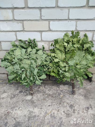 Веники для бани