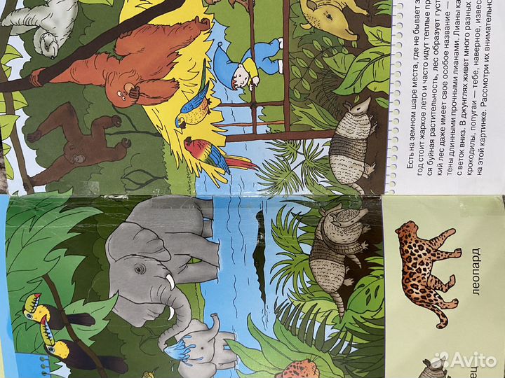 Школа 7 гномов 2+