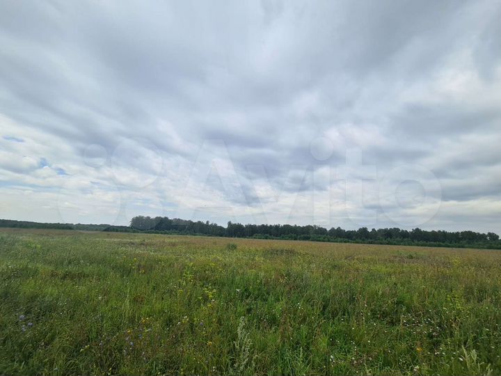 Участок 3,9 га (СНТ, ДНП)