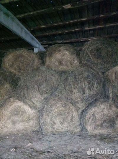 Сено в рулонах доставка