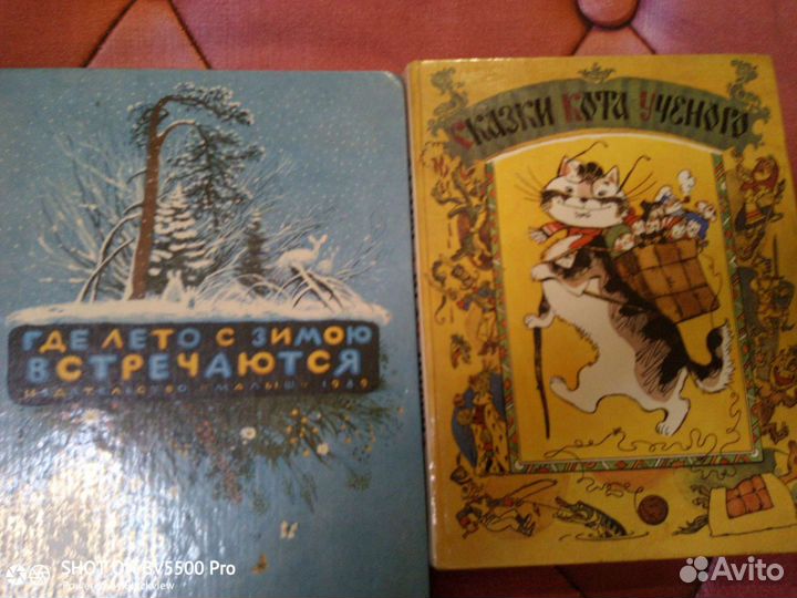 Детская литература
