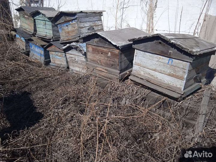 Продам ульи для пчел б/у