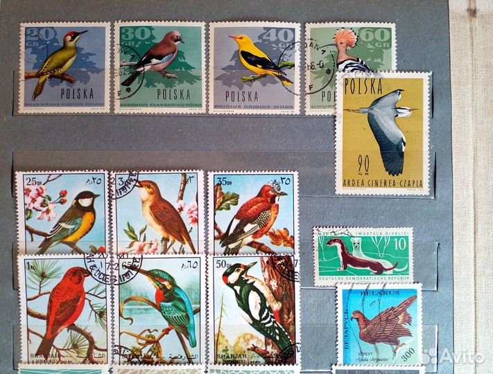 Почтовые марки фауна