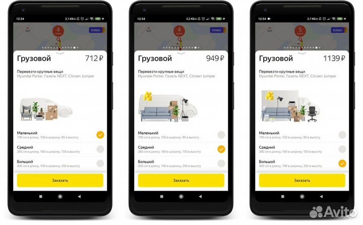 Водитель со своей газелью