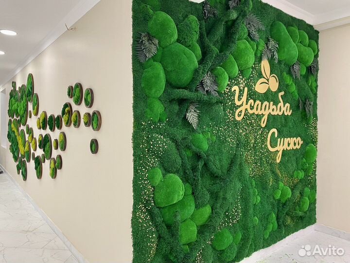 Картины из стабилизированного мха.Фитостена.Декор