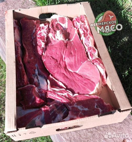 Мясо говядина