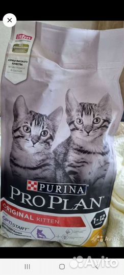 Аксессуары для ухода за кошкой