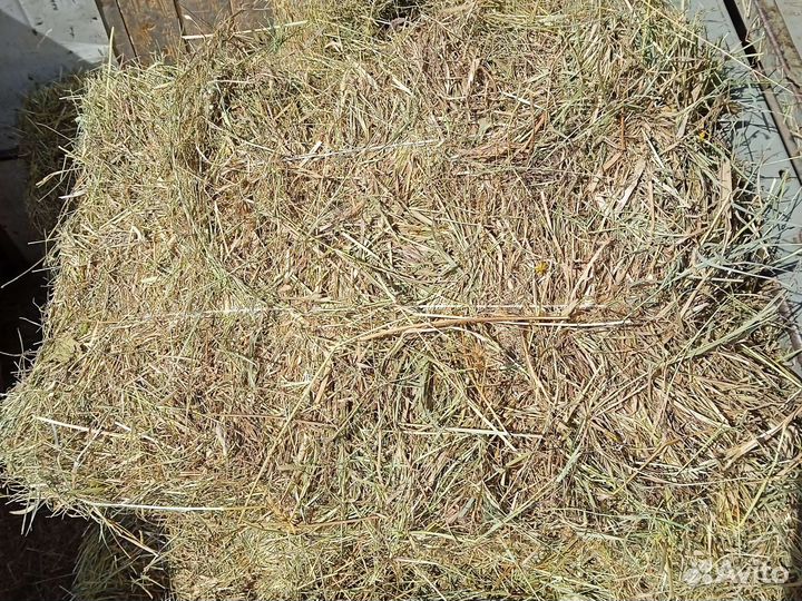 Сено