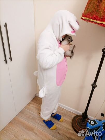 Костюм кигуруми кролик