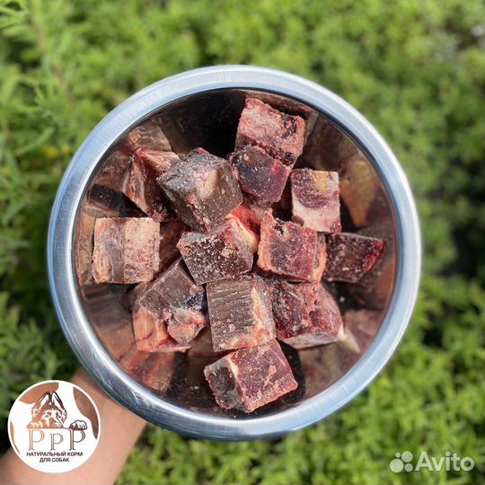 Мясо для собак. Обрезь. Легкое. Корм для собак